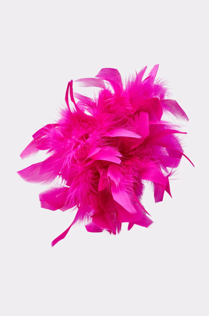 AT BRUNCH FEATHER BROOCH - Image 4