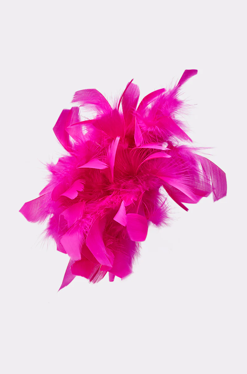 AT BRUNCH FEATHER BROOCH - Image 5