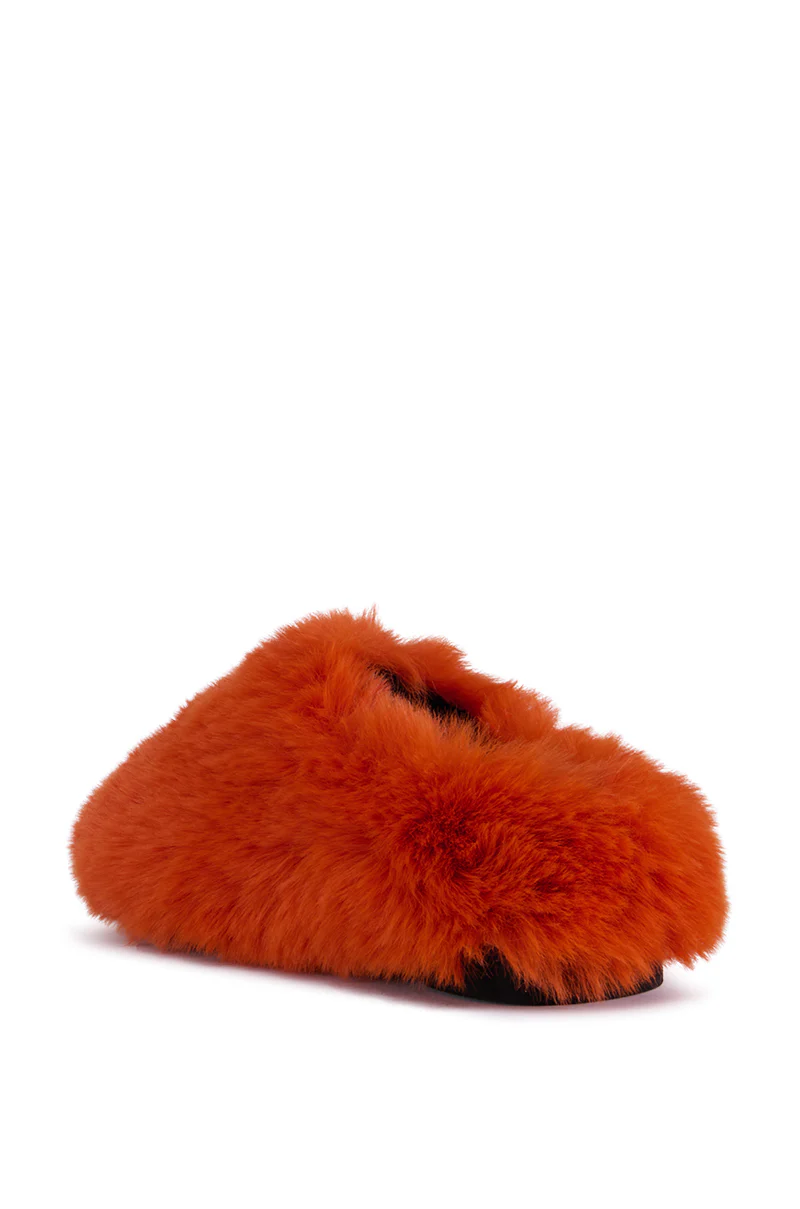 AZALEA WANG WHIRLWIND ORANGE FLAT - Image 5