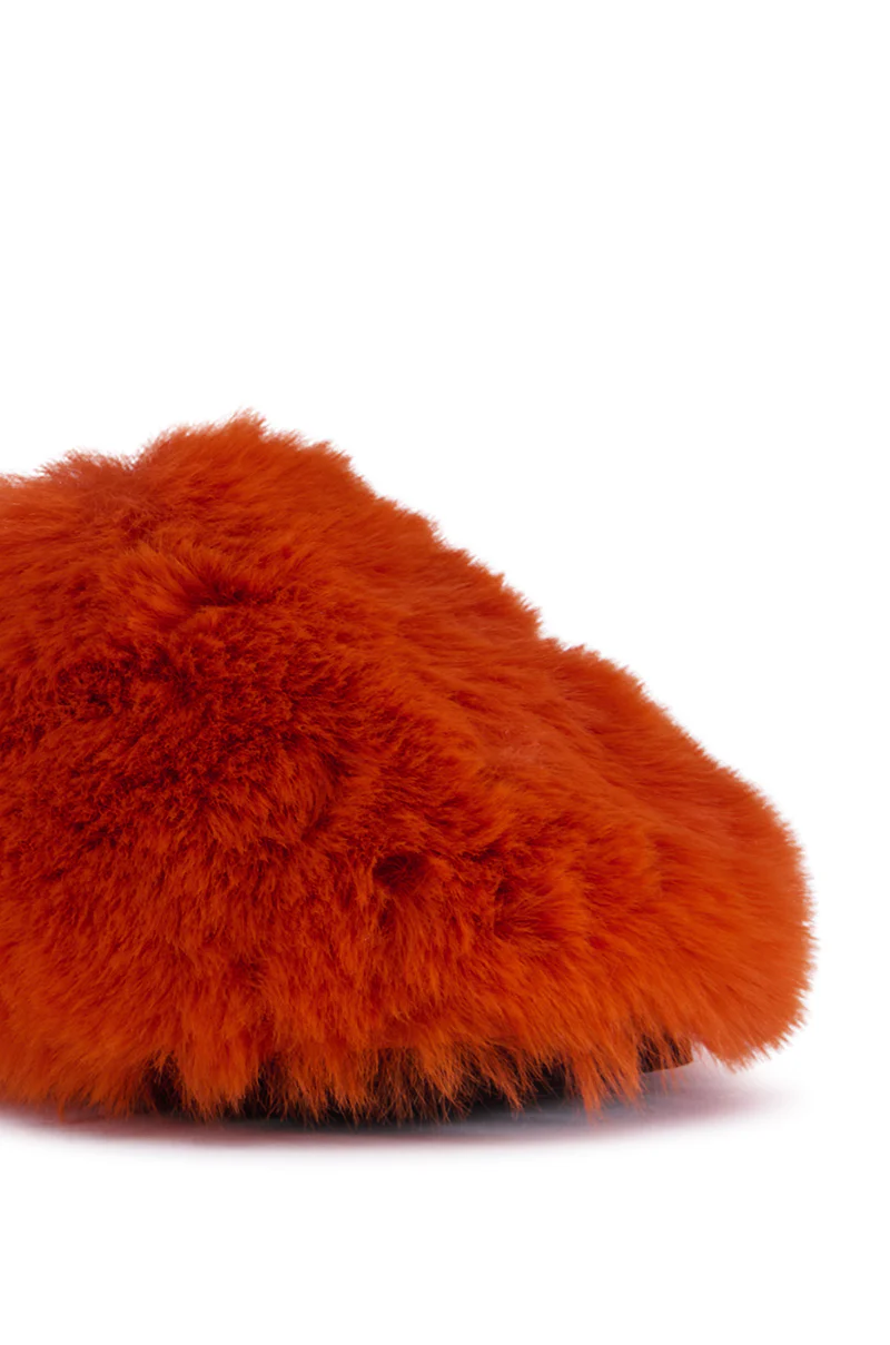 AZALEA WANG WHIRLWIND ORANGE FLAT - Image 6