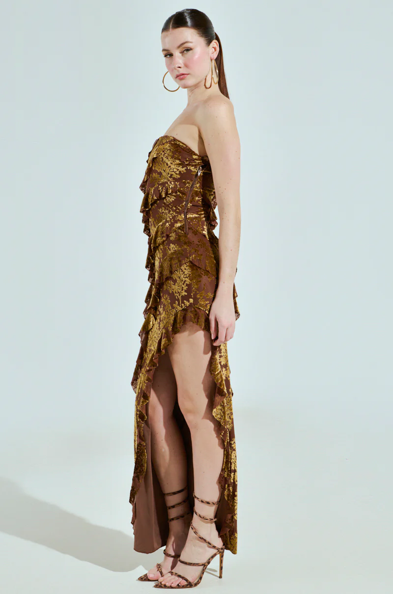 CYRUS VELVET MAXI DRESS IN BROWN - Image 4