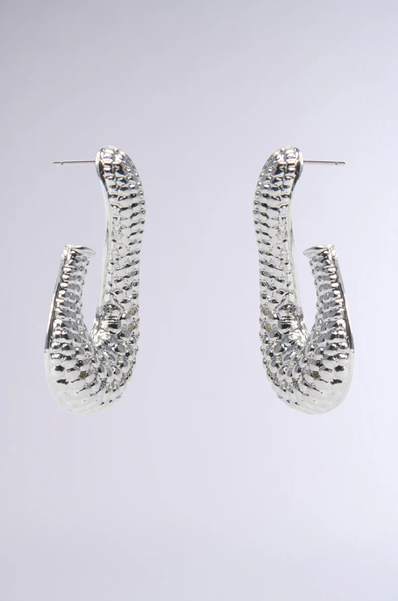 DAY DREAMER SILVER EARRING - Image 3