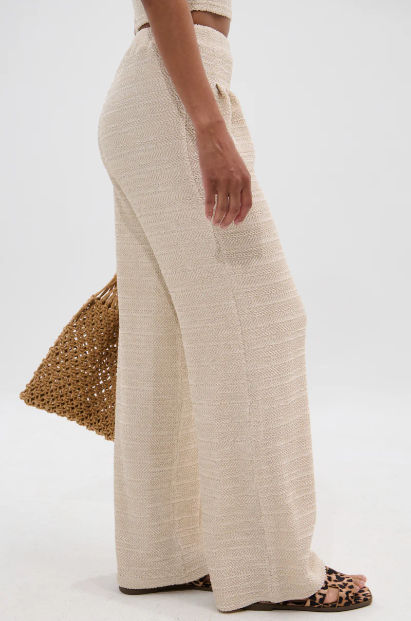 HOLLYWOOD SLINKY TEXTURED PALAZZO PANT - Image 4