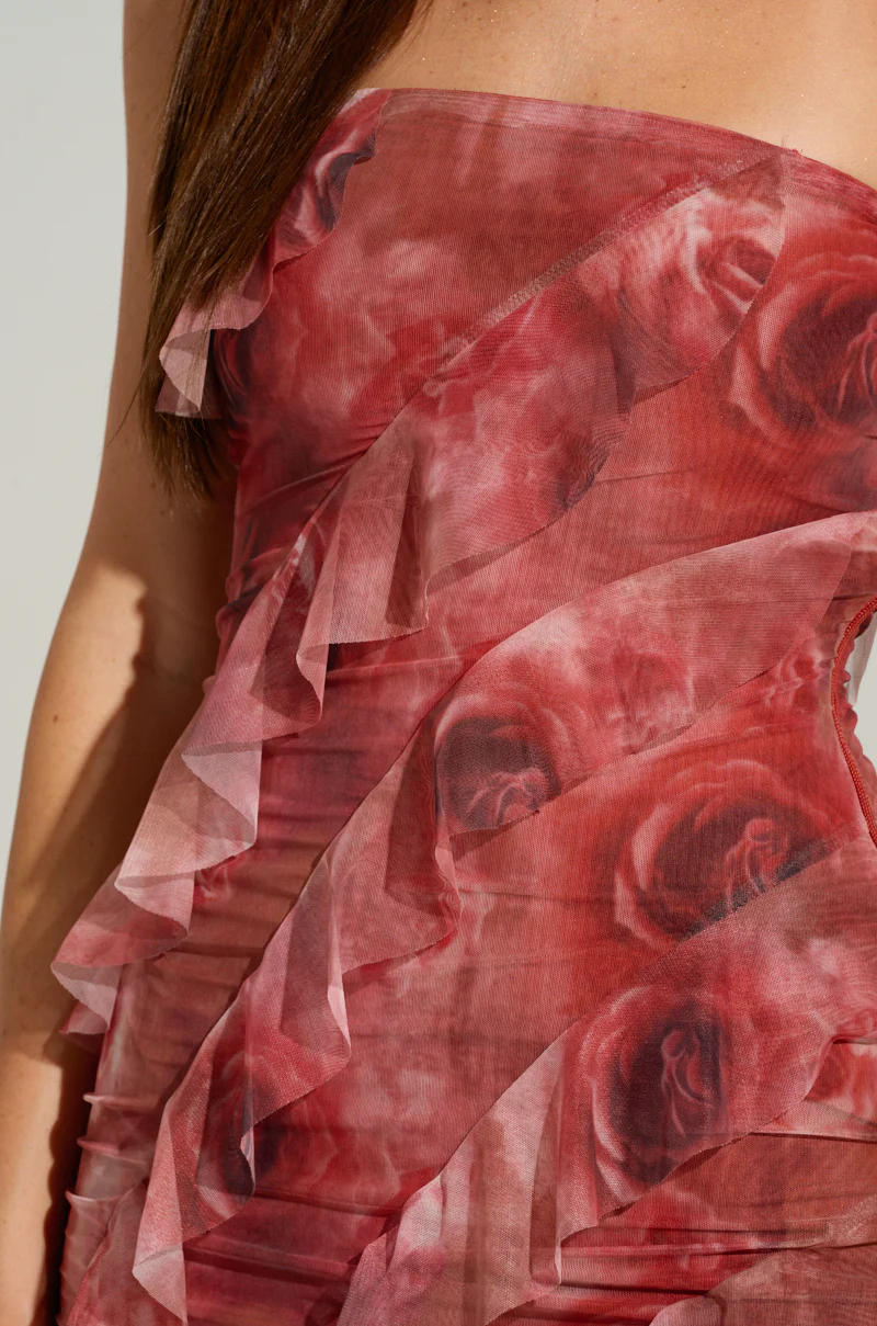 JUST A DREAM FLORAL MESH MAXI DRESS - Image 5