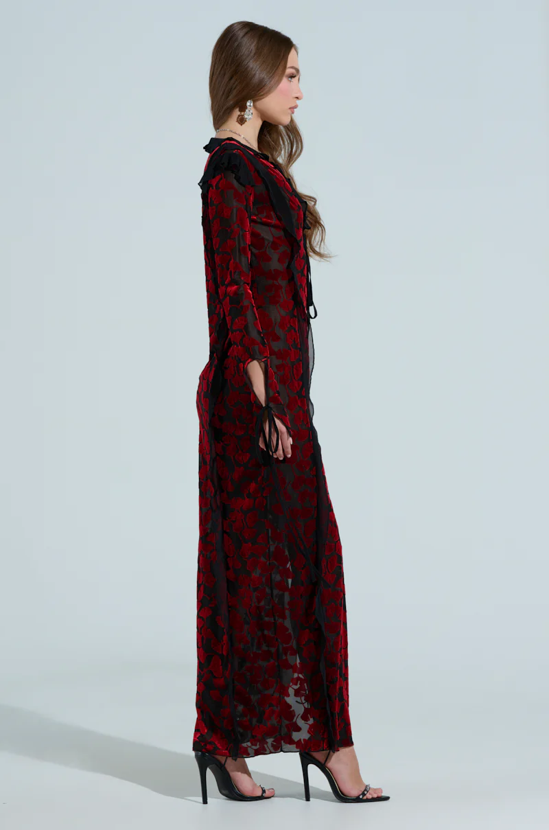 MAKE A WISH VELVET MAXI DRESS - Image 4