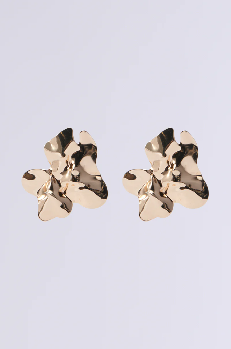 SPREAD YOUR WINGS EARRING - Image 3
