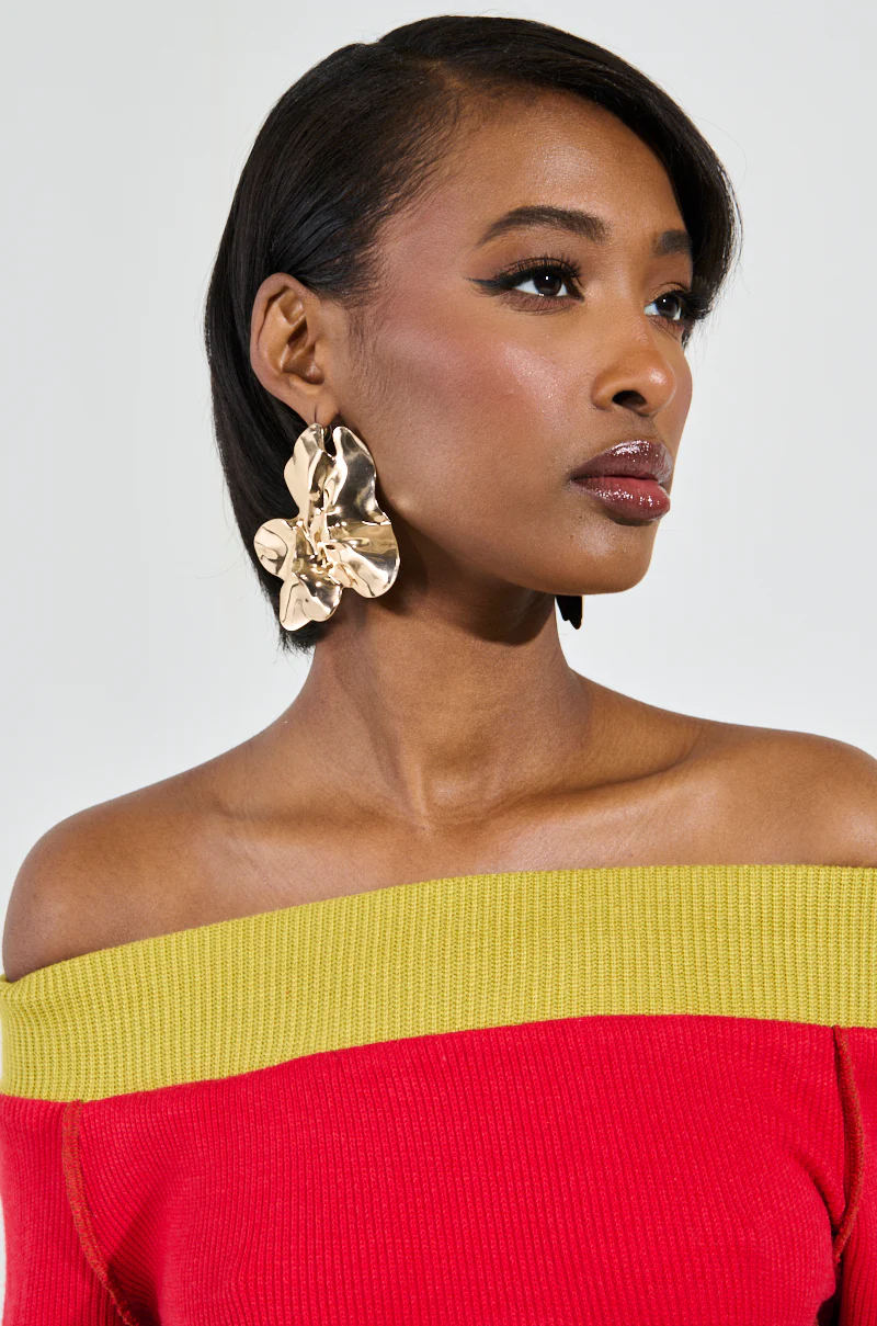 SPREAD YOUR WINGS EARRING - Image 4